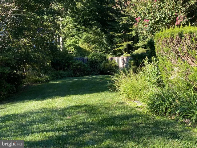 a view of yard with green space
