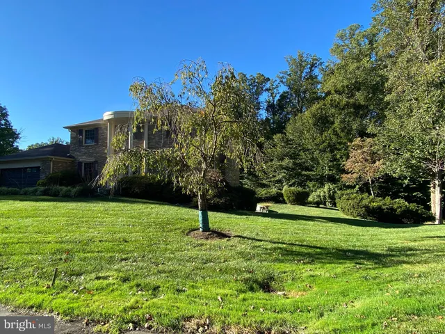 a view of a backyard with potted plants and large trees