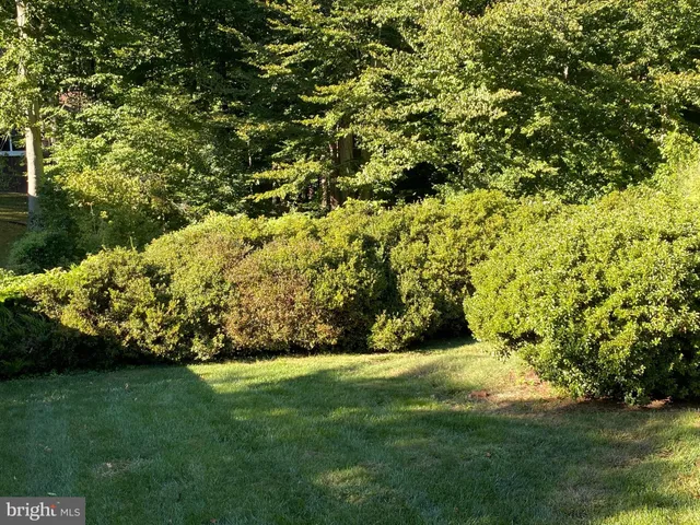 a view of building with garden