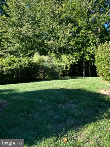 a view of green field