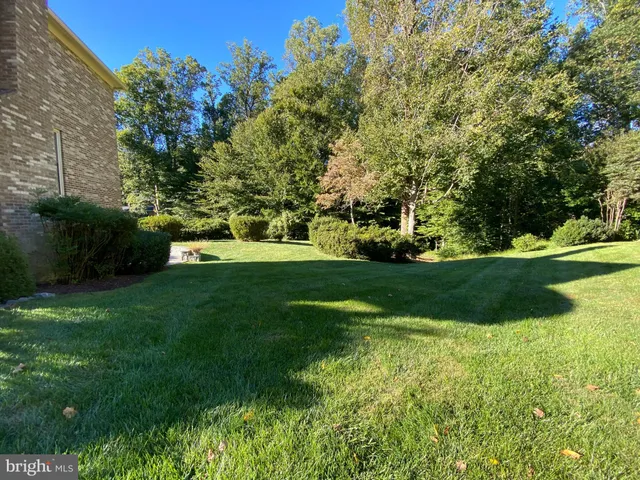 a view of yard with green space