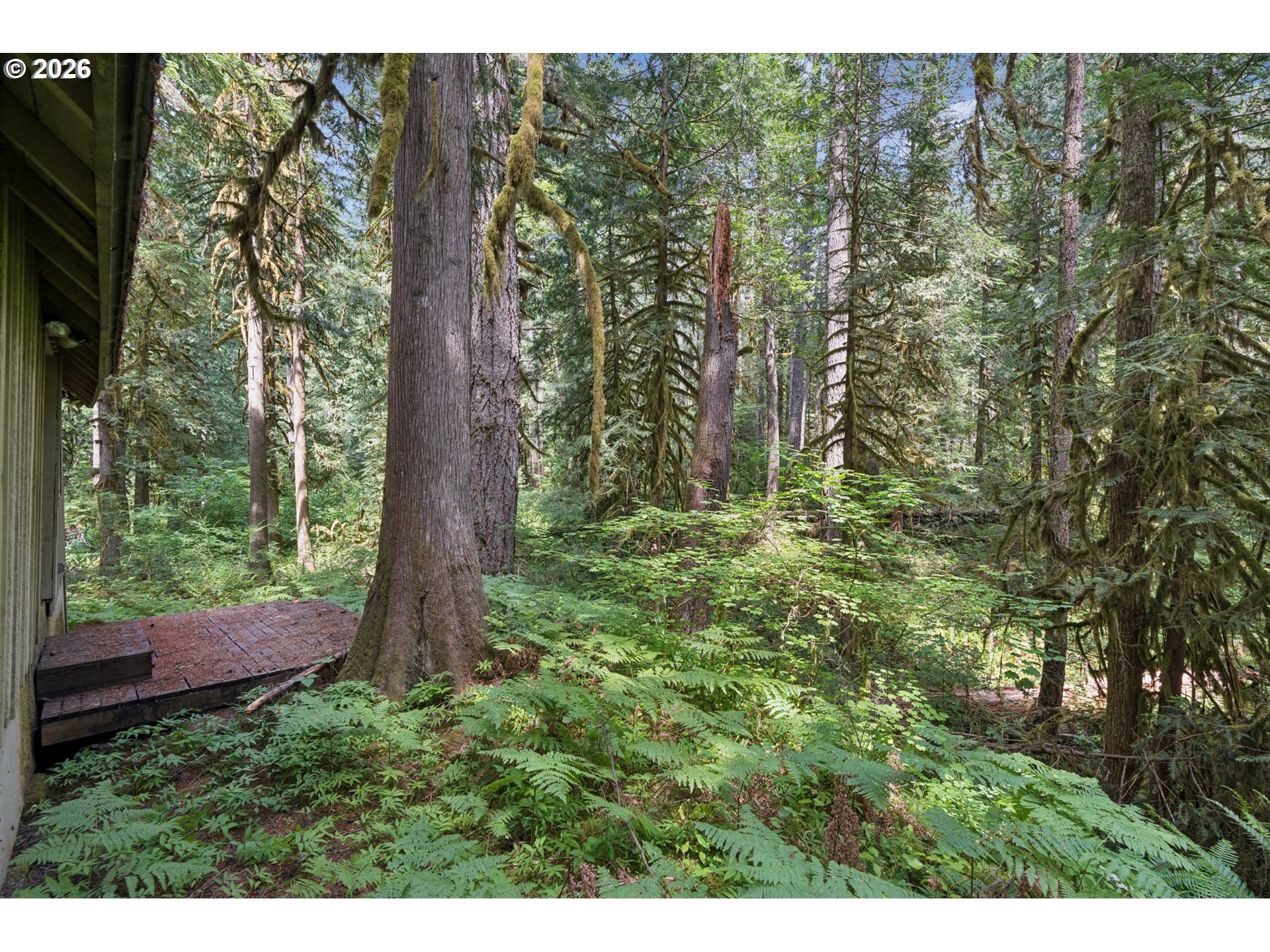 28320 Road 20 Rhododendron, OR 97049 - Photo 33 of 41