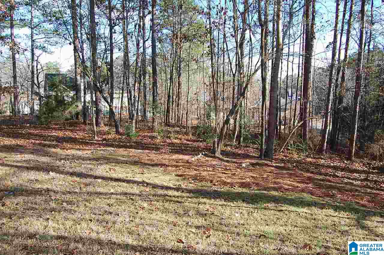 124 Grande View Lane Alabaster, AL 35114 - Photo 25 of 27