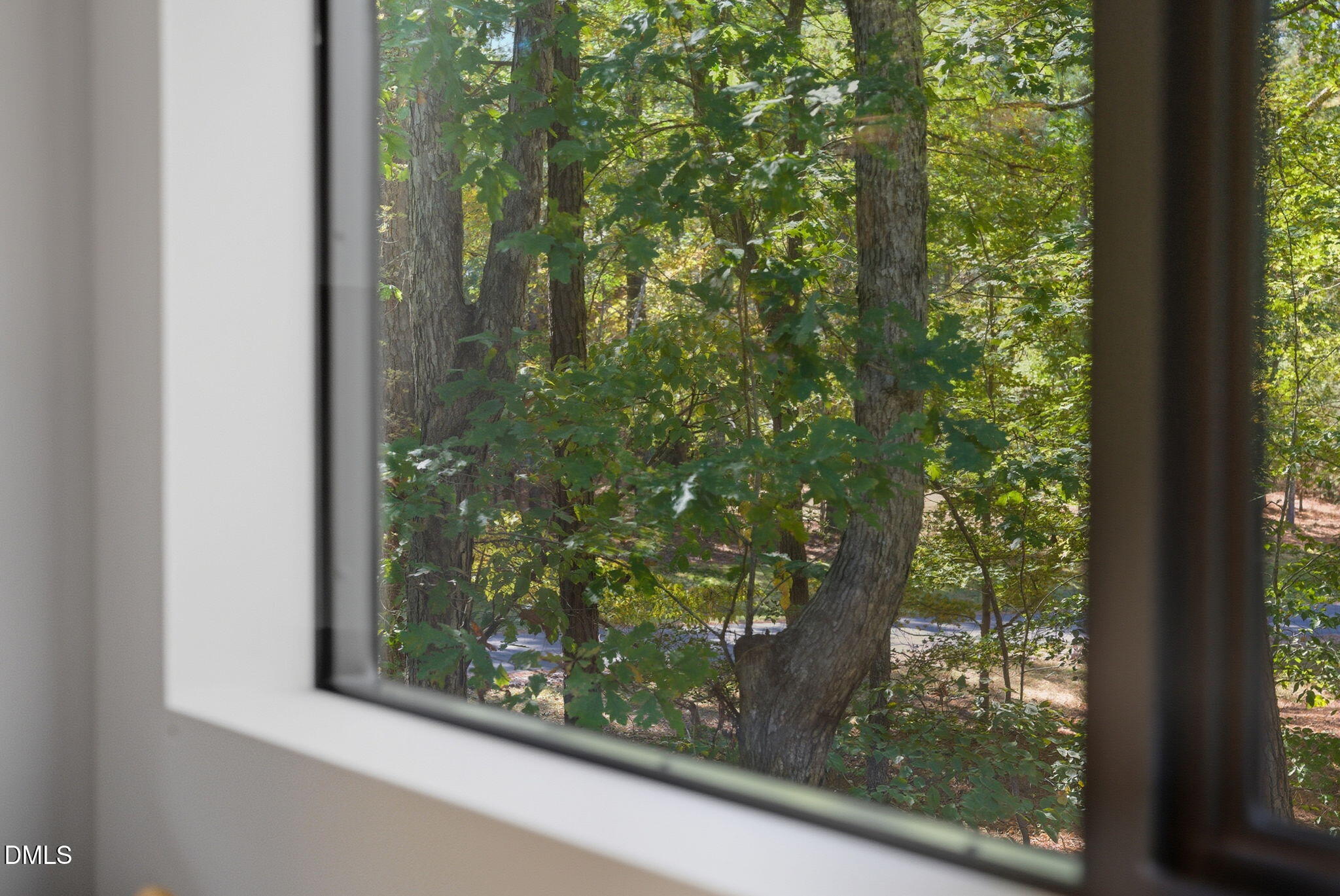 3105 Janice Road Raleigh, NC 27614 - Photo 63 of 99 3105 Janice Road-65