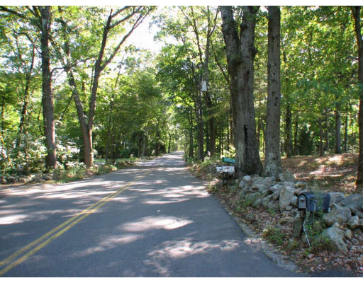 49 Baldpate Road Georgetown, MA 01833 - Photo 2 of 13 a view of a tree in the middle of a yard