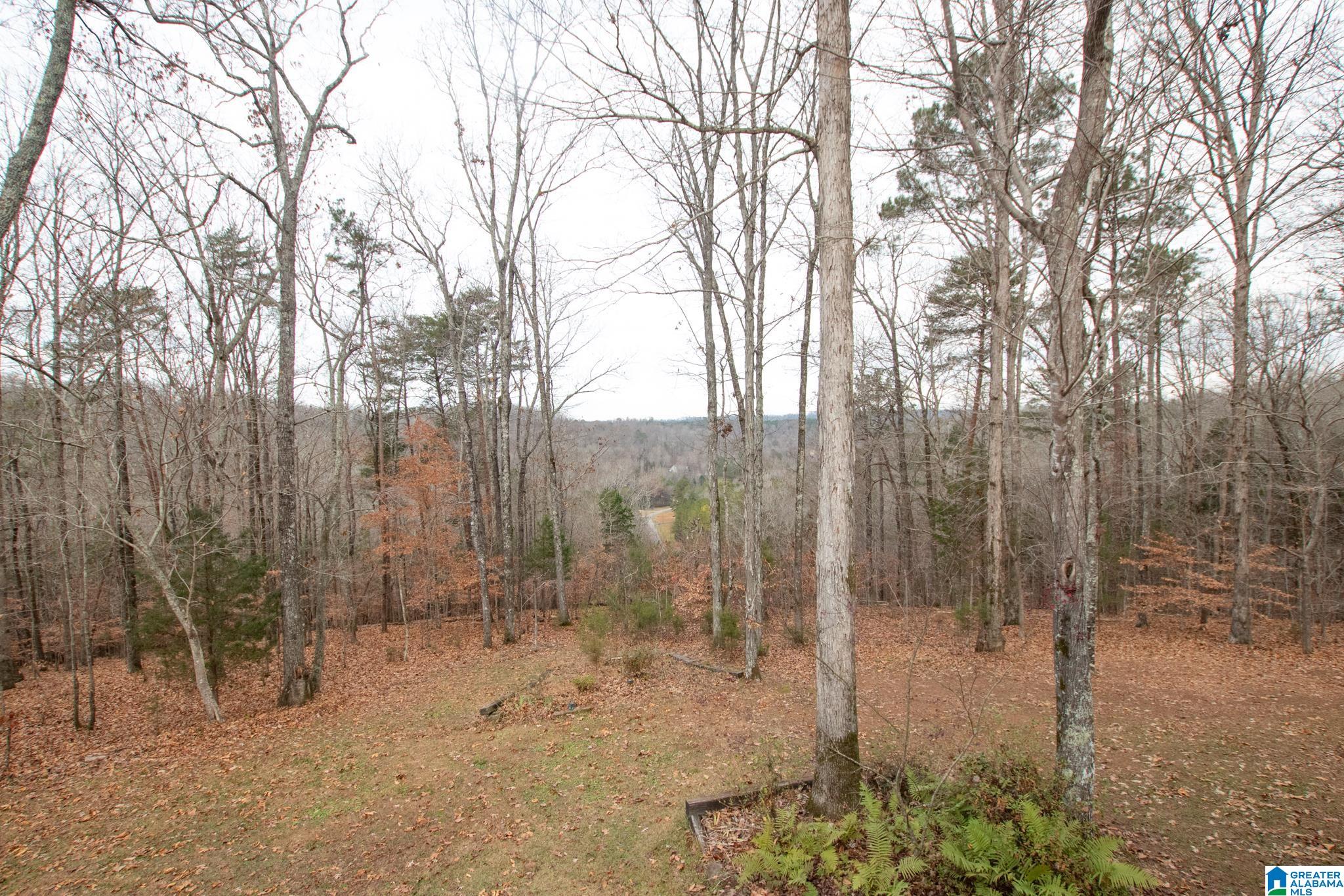 199 Heritage Ridge Springville, AL 35146 - Photo 27 of 30