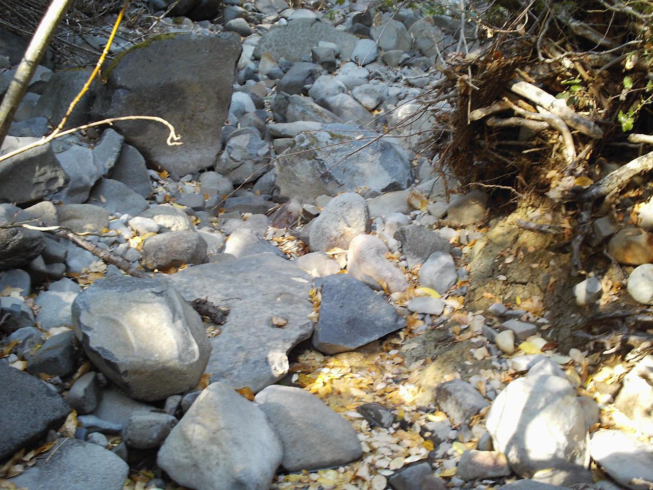 Creek bed rock