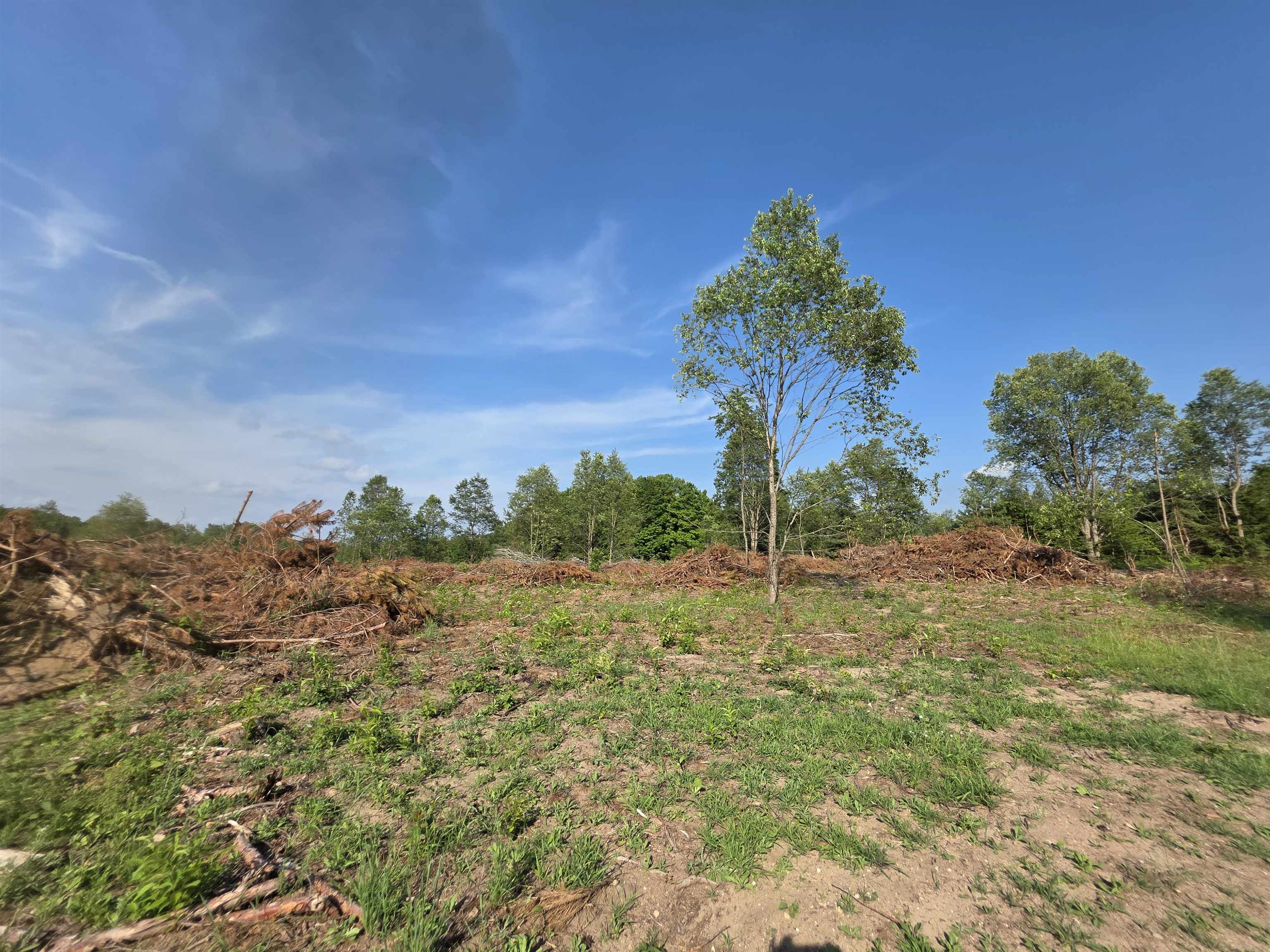 0 Arnold Road Manton, MI 49663 - Photo 19 of 63