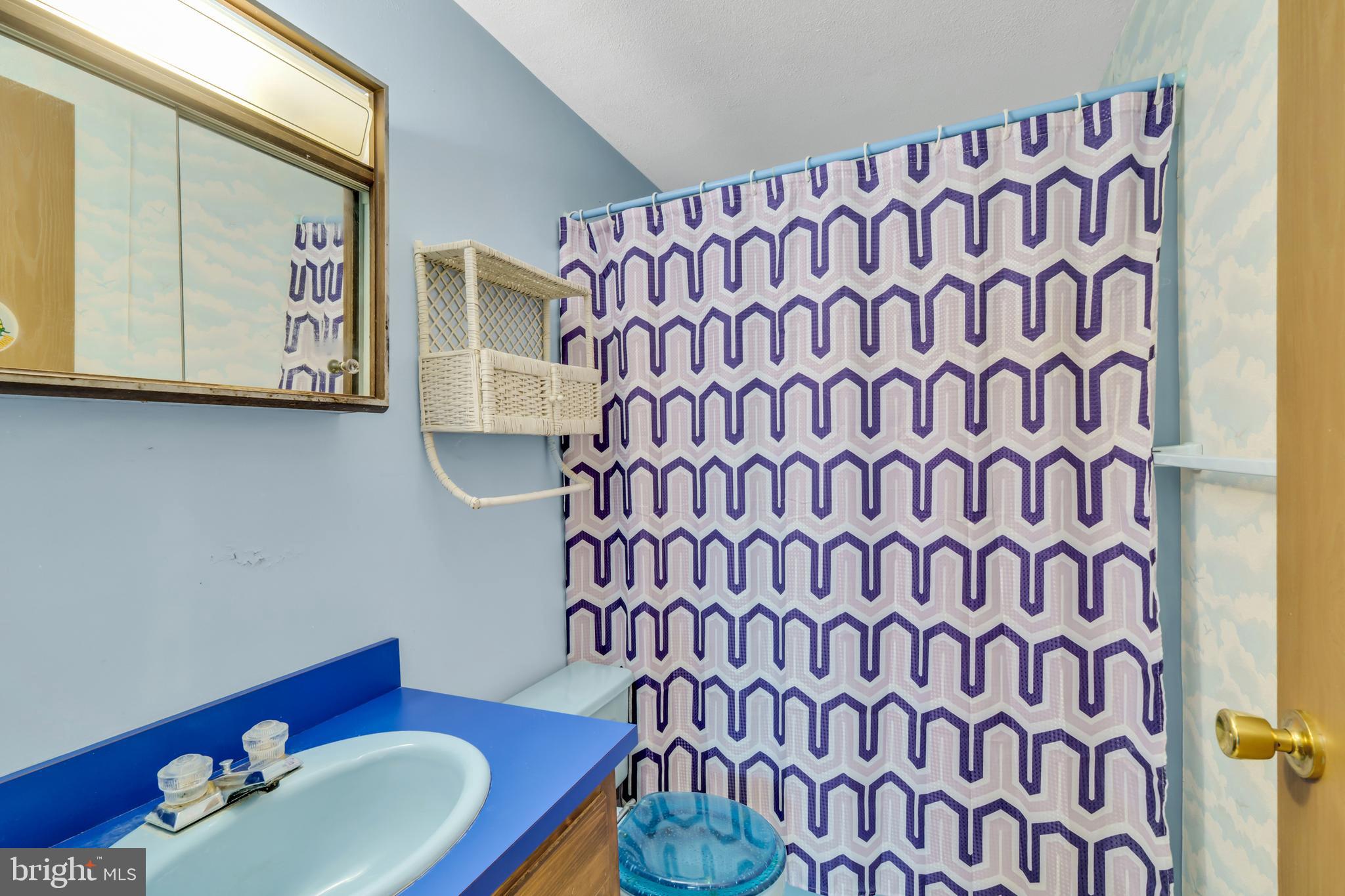 2333 Three Mile Run Road Perkasie, PA 18944 - Photo 33 of 43 a bathroom with a sink and a mirror
