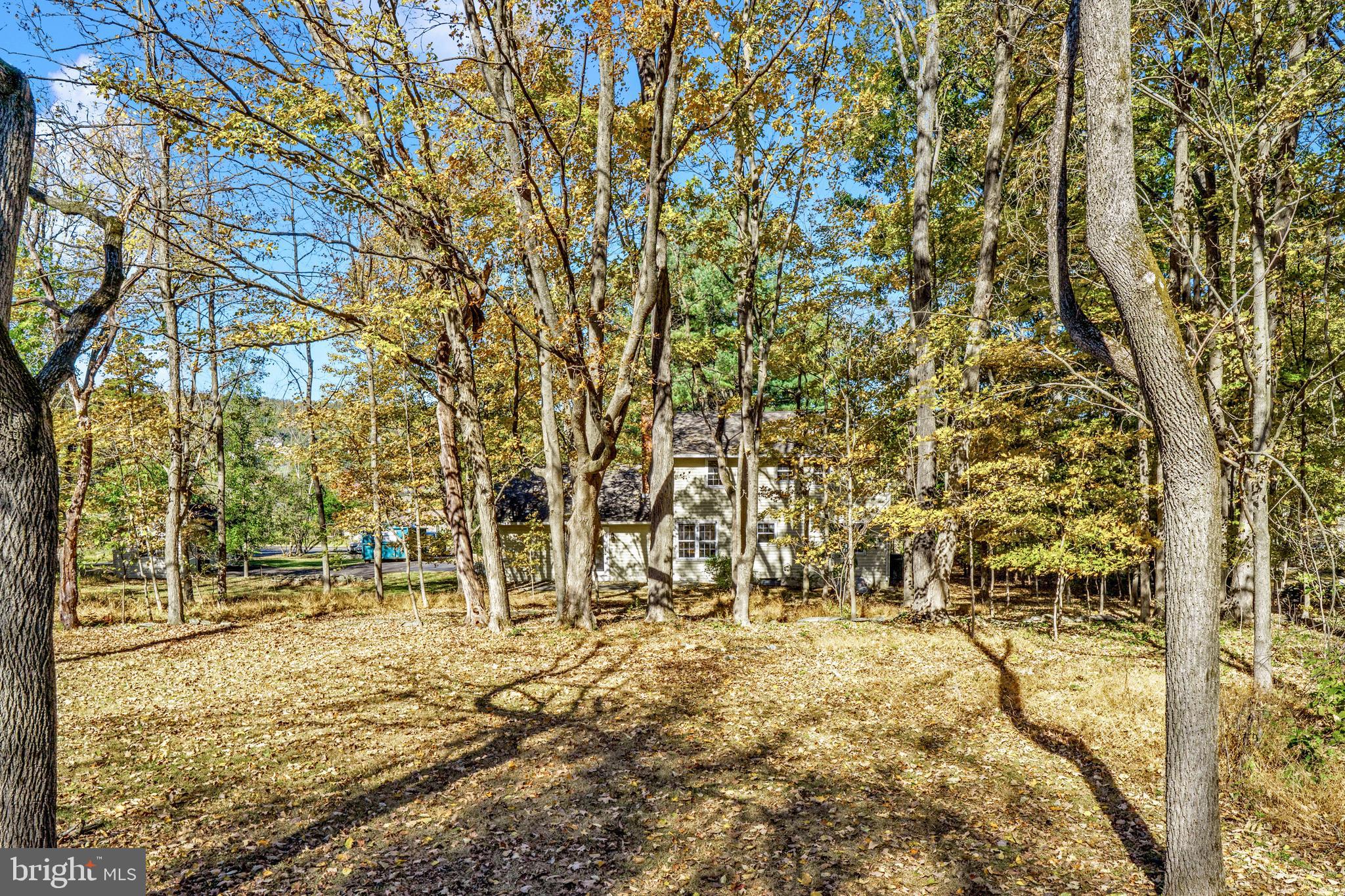 2333 Three Mile Run Road Perkasie, PA 18944 - Photo 42 of 43 a view of yard with patio