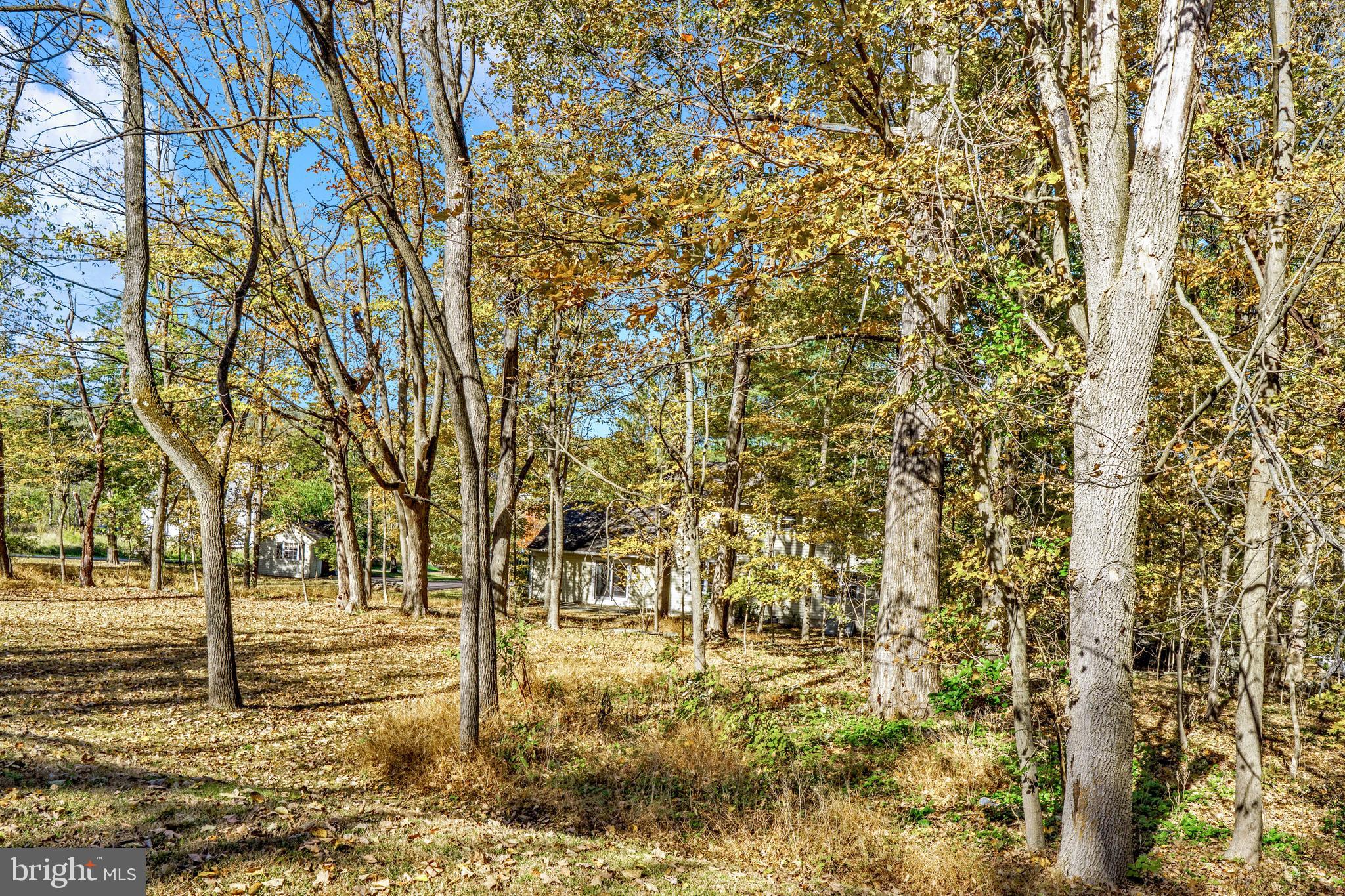 2333 Three Mile Run Road Perkasie, PA 18944 - Photo 43 of 43 a view of a yard with trees