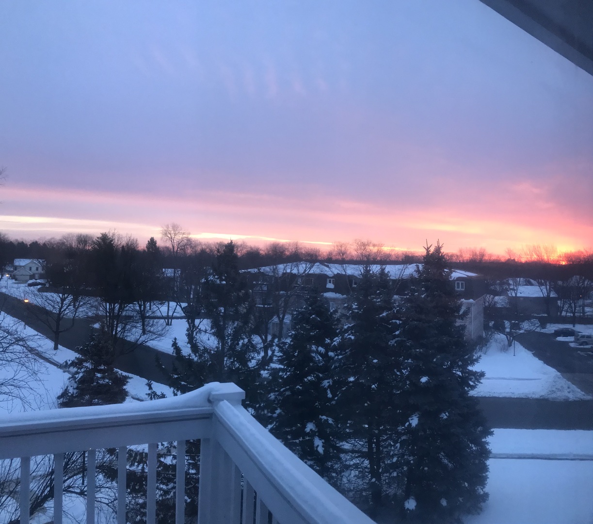 122 East Winchester Road, Unit E Libertyville, IL 60048 - Photo 15 of 17 a view of a city from a balcony