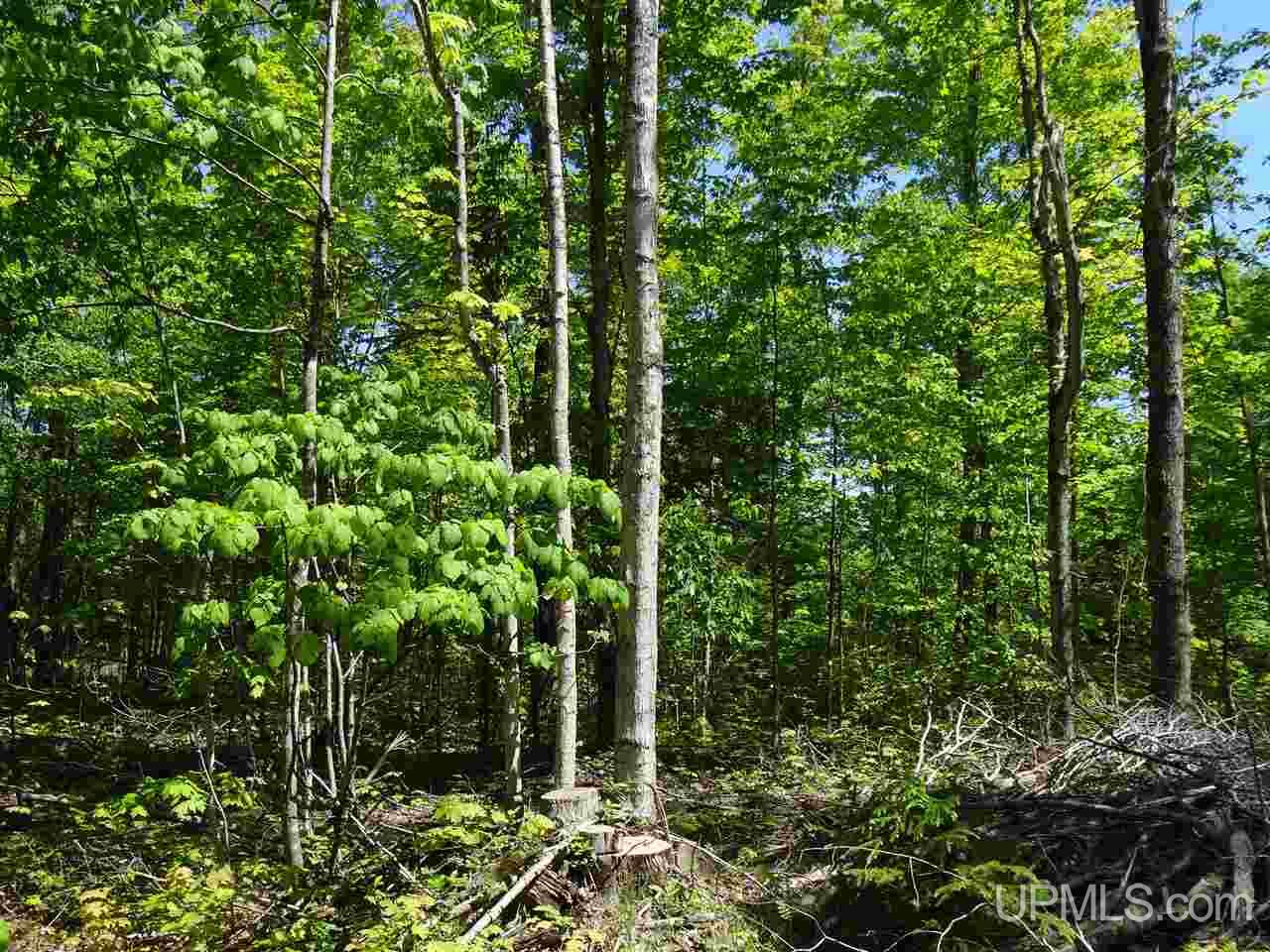 13020 Asumaa Road Atlantic Mine, MI 49905 - Photo 21 of 28 Gallery Image 21