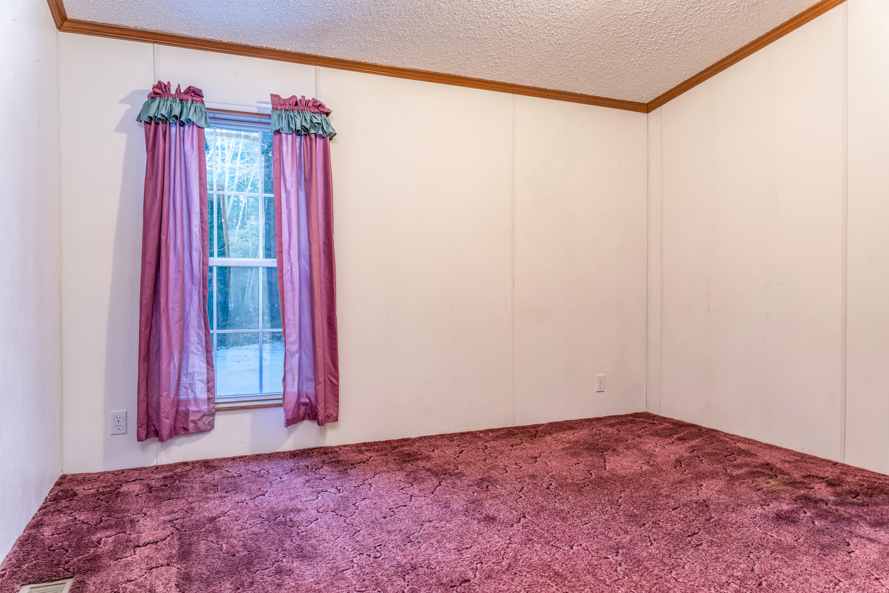 131 Flat Ground Road Acton, ME 04001 - Photo 17 of 25 20210301-_DSC0951