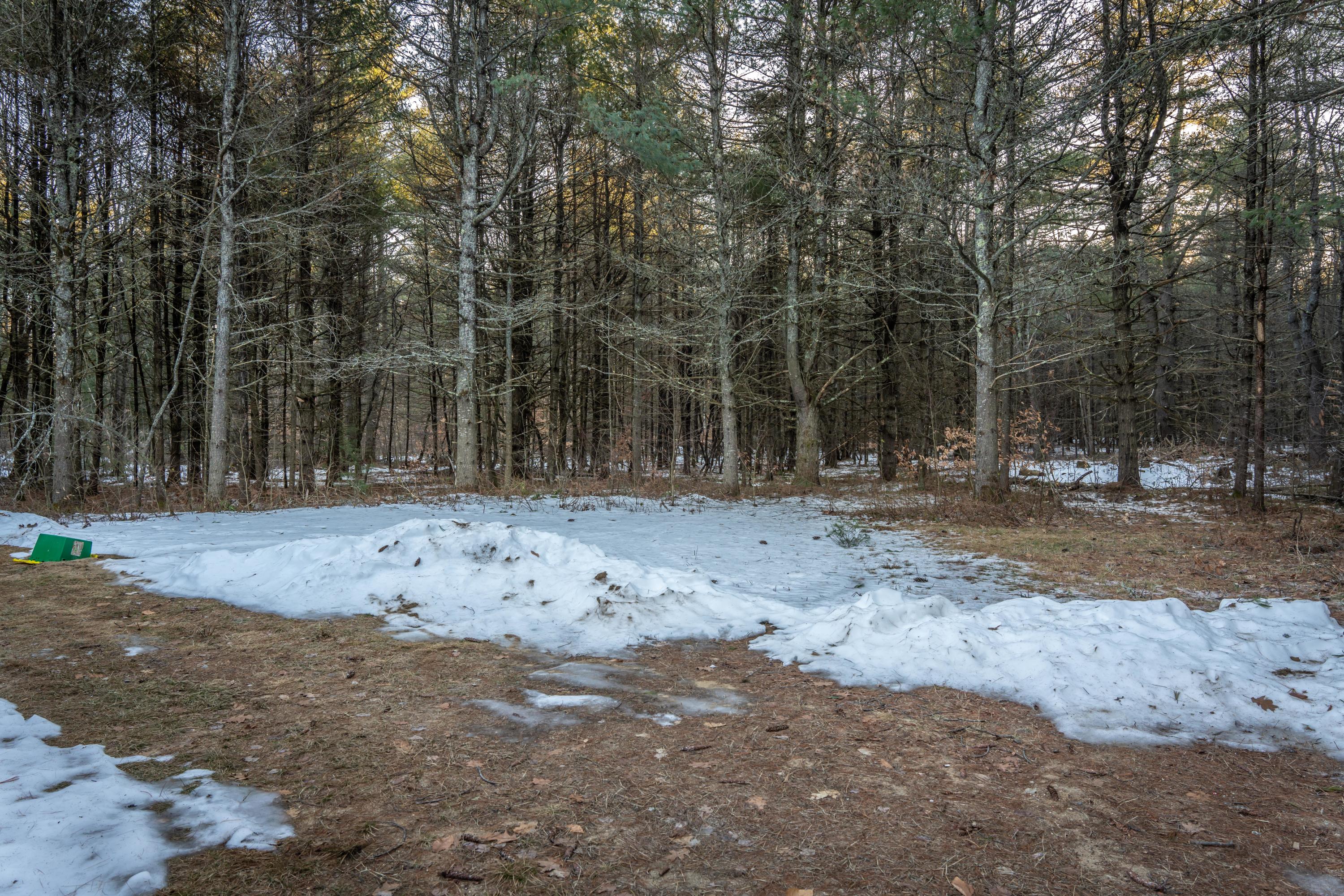 131 Flat Ground Road Acton, ME 04001 - Photo 25 of 25 20210301-_DSC0964