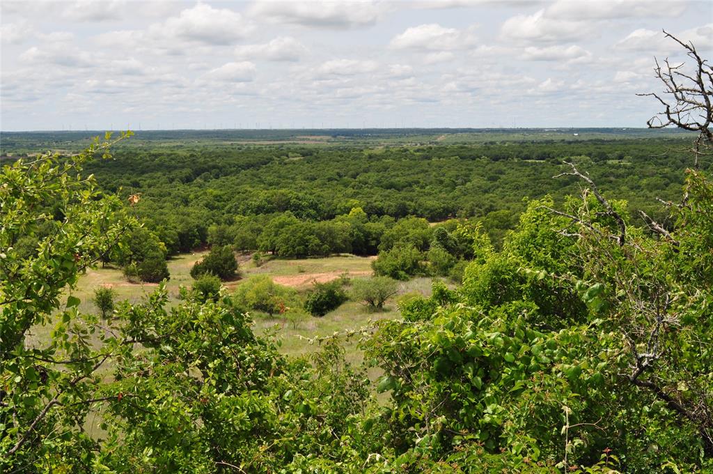 1849 2 Bush Road Perrin, TX 76486 - Photo 23 of 40