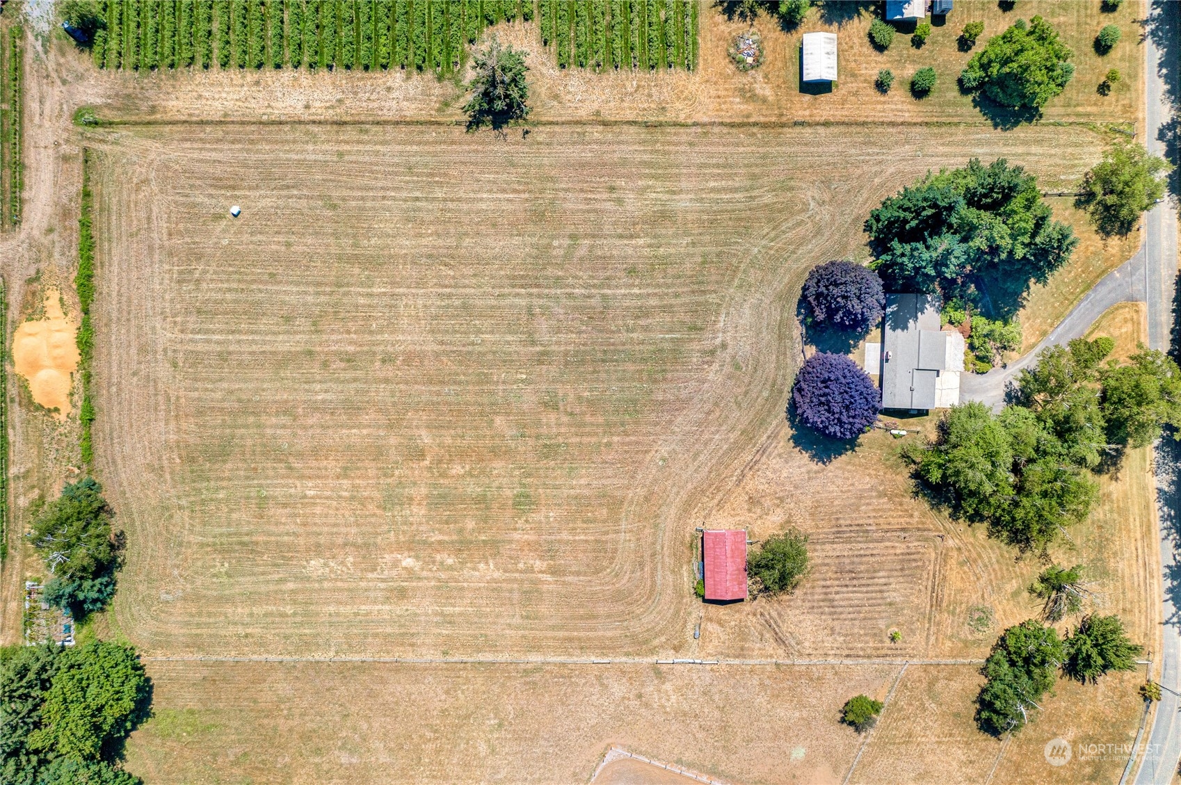 6754 Oat Coles Road Everson, WA 98247 - Photo 22 of 29 Gallery Image 22