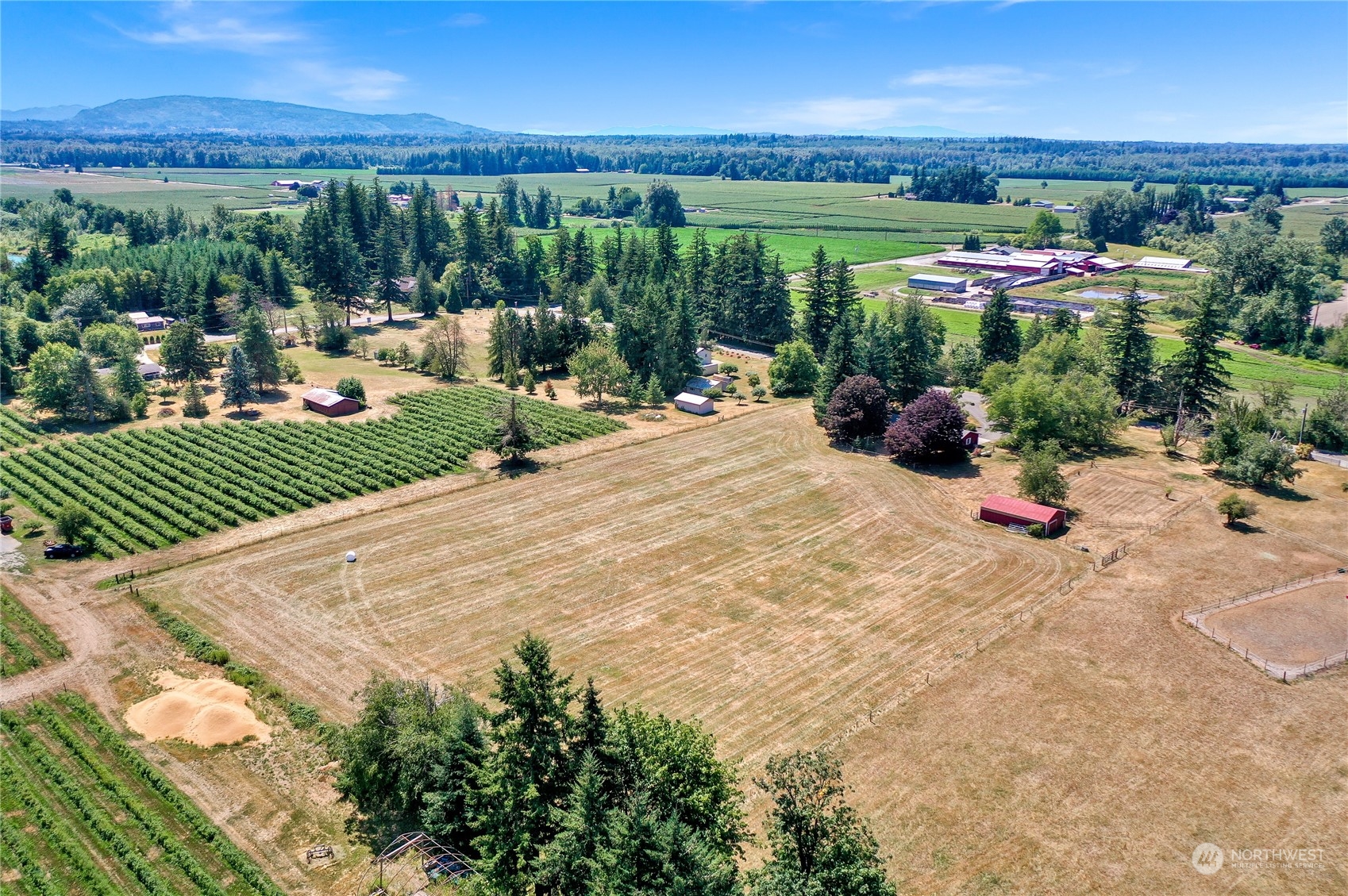 6754 Oat Coles Road Everson, WA 98247 - Photo 23 of 29 Gallery Image 23