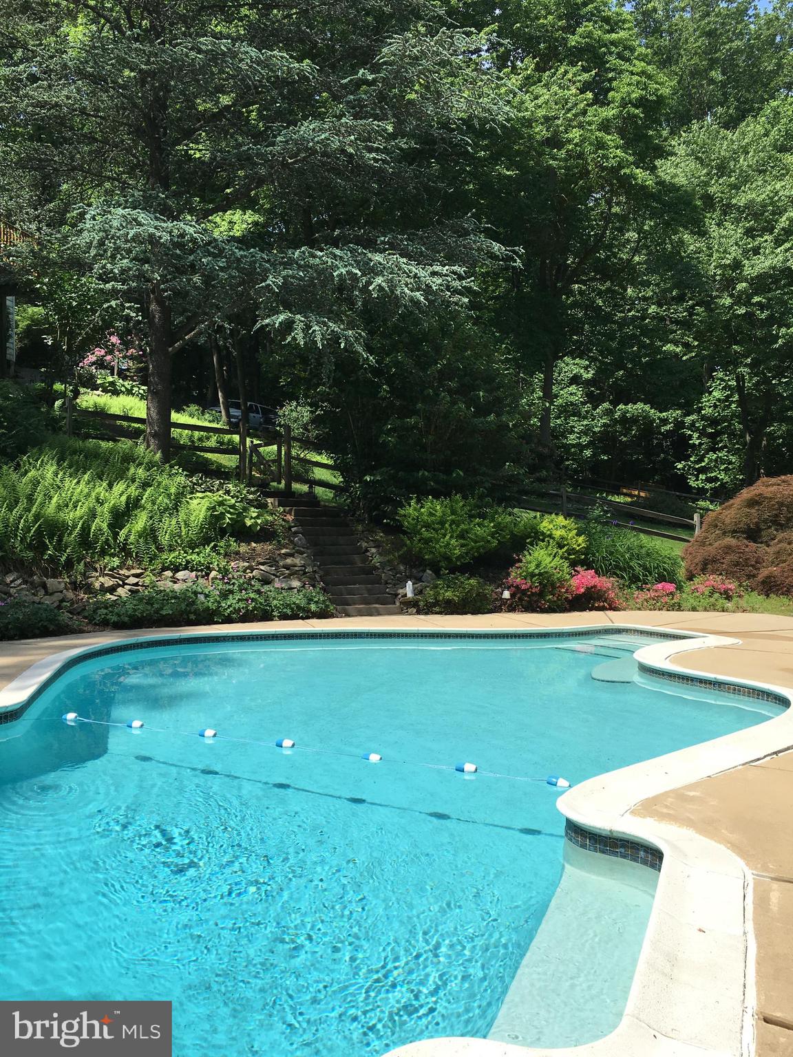 39 Blakely Road Downingtown, PA 19335 - Photo 31 of 42 Pool