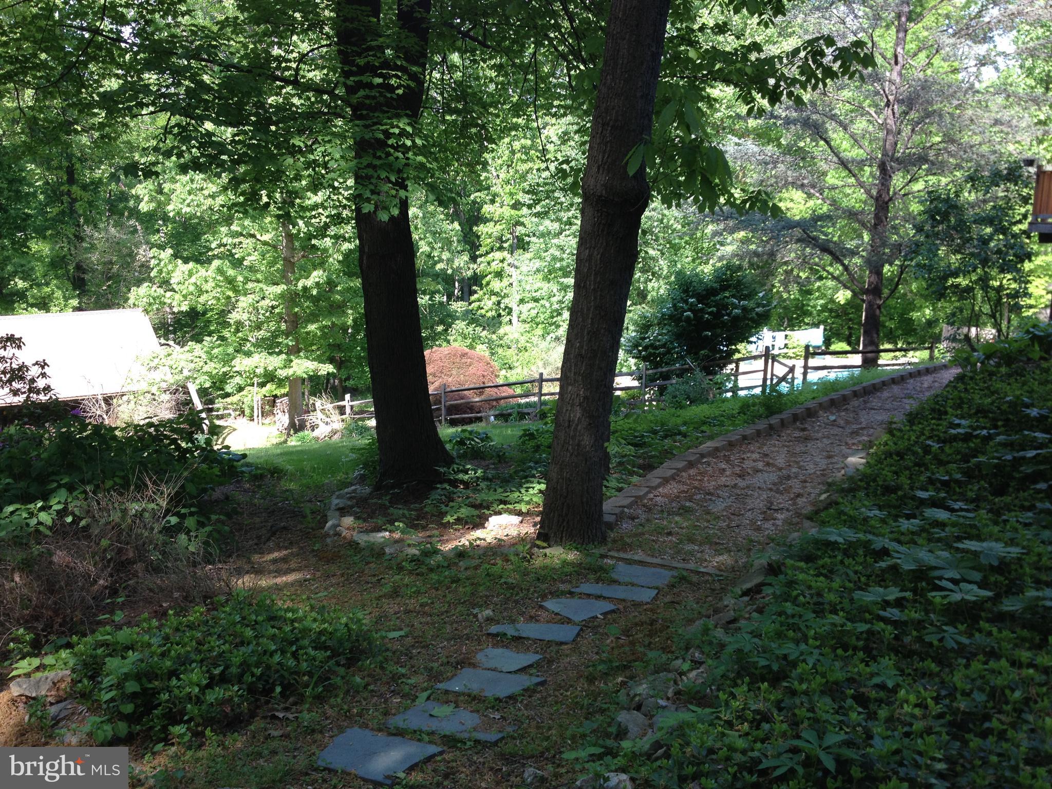 39 Blakely Road Downingtown, PA 19335 - Photo 37 of 42 Walkway