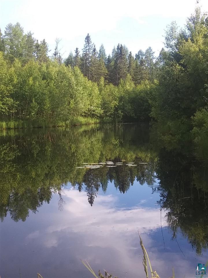2010 Moorhead Road Cloquet, MN 55720 - Photo 21 of 24 kidney shaped pond deep enough to stock fish and canoe! Brush is overgrown around it