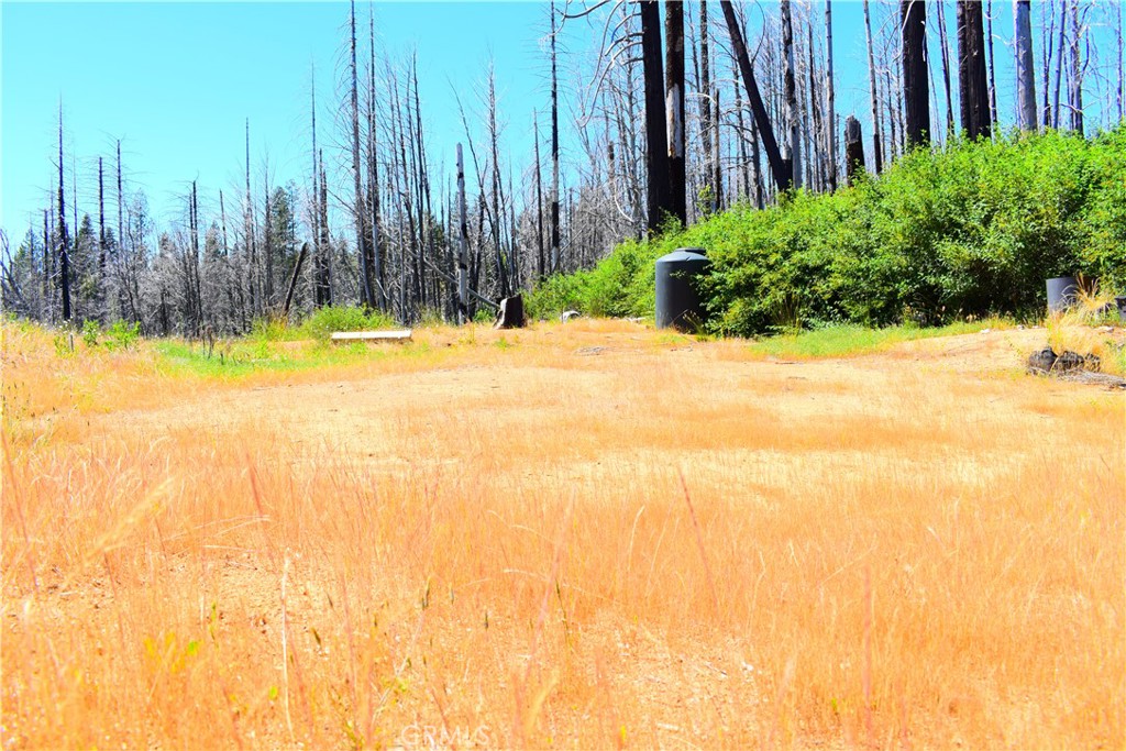 461 Milsap Bar Road Berry Creek, CA 95916 - Photo 14 of 18