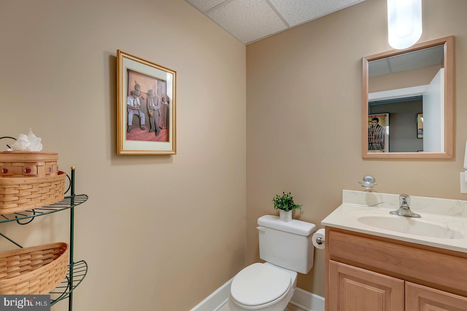 22095 Wilson Road Georgetown, DE 19947 - Photo 77 of 137 Wellness level powder room