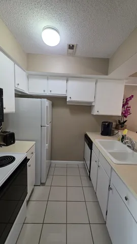 a kitchen with a sink a stove and refrigerator