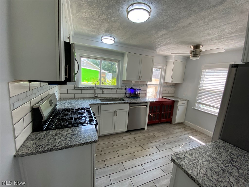 19615 Drake Road Strongsville, OH 44149 - Photo 4 of 13 Gallery Image 4