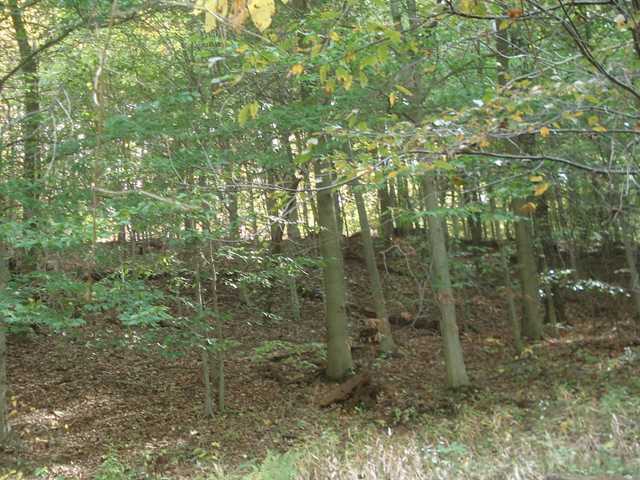 35885 Scout Road Logan, OH 43138 - Photo 23 of 23