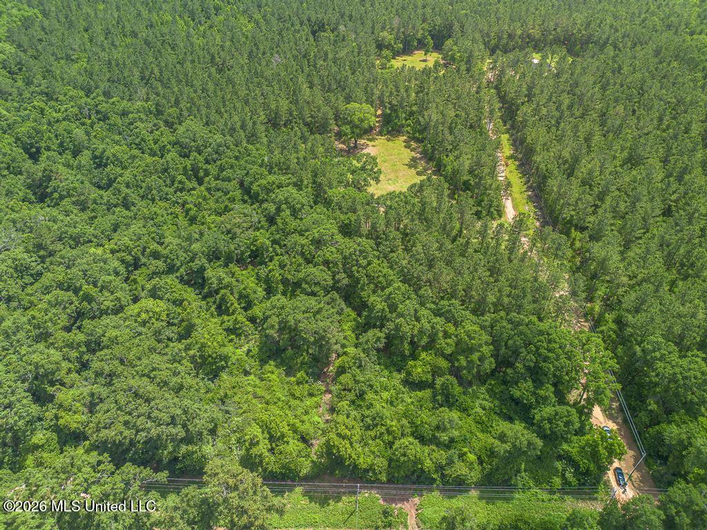 Blackwell Farm Road Saucier, MS 39574 - Photo 7 of 12 29-12