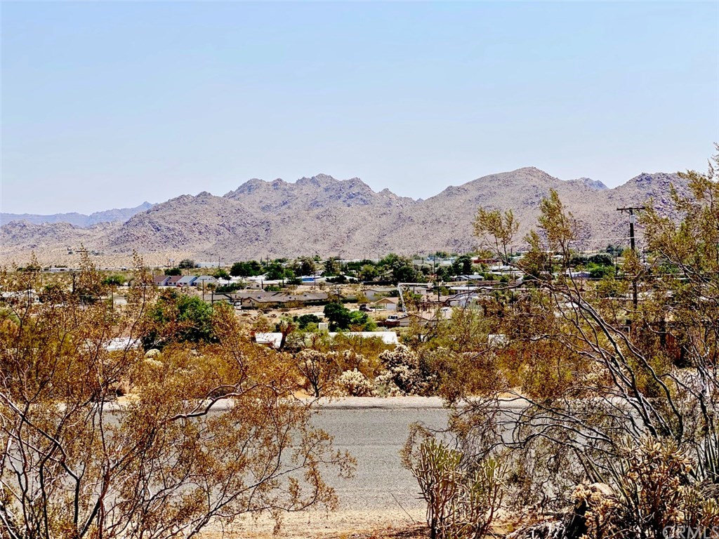 0 Morningside Road Joshua Tree, CA 92252 - Photo 1 of 8 View toward the National Park