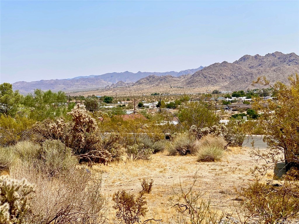 0 Morningside Road Joshua Tree, CA 92252 - Photo 2 of 8 Southeast View