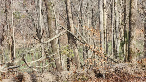 $549,000 | 5615 Eastport Road, Alpine, TN 38543