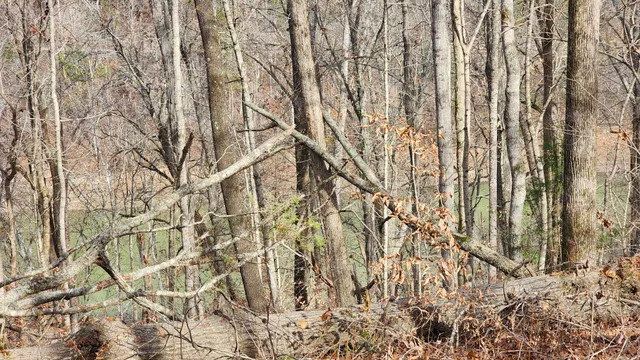 $589,000 | 5615 Eastport Road, Alpine, TN 38543