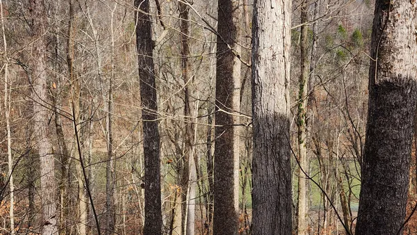 $549,000 | 5615 Eastport Road, Alpine, TN 38543