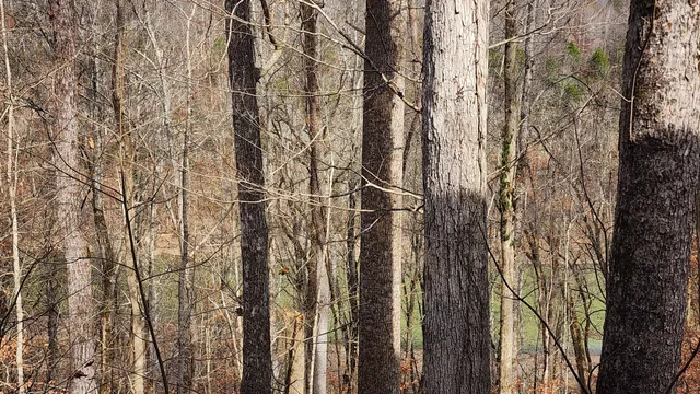 $589,000 | 5615 Eastport Road, Alpine, TN 38543