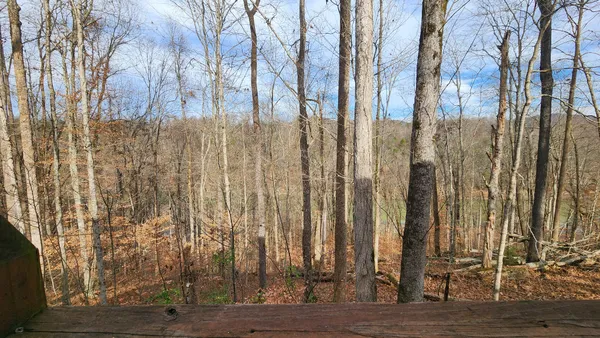 $549,000 | 5615 Eastport Road, Alpine, TN 38543