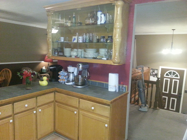 310 Errett Road Rochelle, IL 61068 - Photo 6 of 9