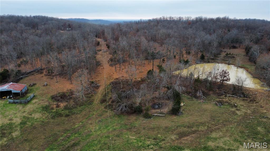 285 Ripley Z-4 Gatewood, MO 63942 - Photo 20 of 34