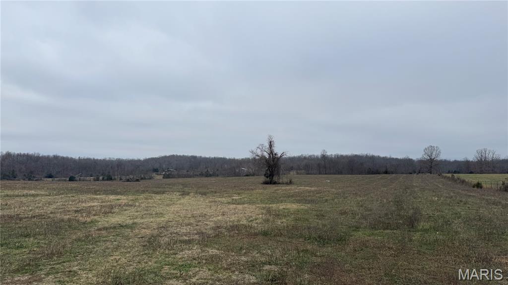 285 Ripley Z-4 Gatewood, MO 63942 - Photo 29 of 34