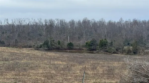 $389,500 | 285 Ripley Z-4, Gatewood, MO 63942
