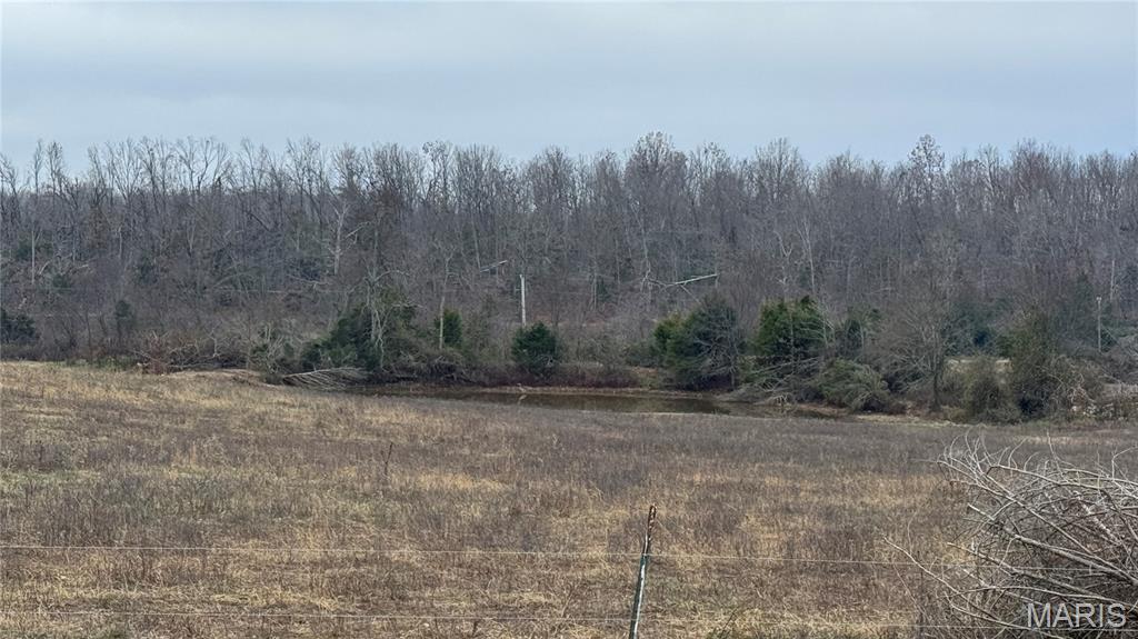 285 Ripley Z-4 Gatewood, MO 63942 - Photo 30 of 34