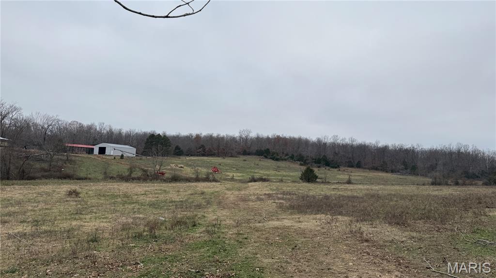 285 Ripley Z-4 Gatewood, MO 63942 - Photo 33 of 34