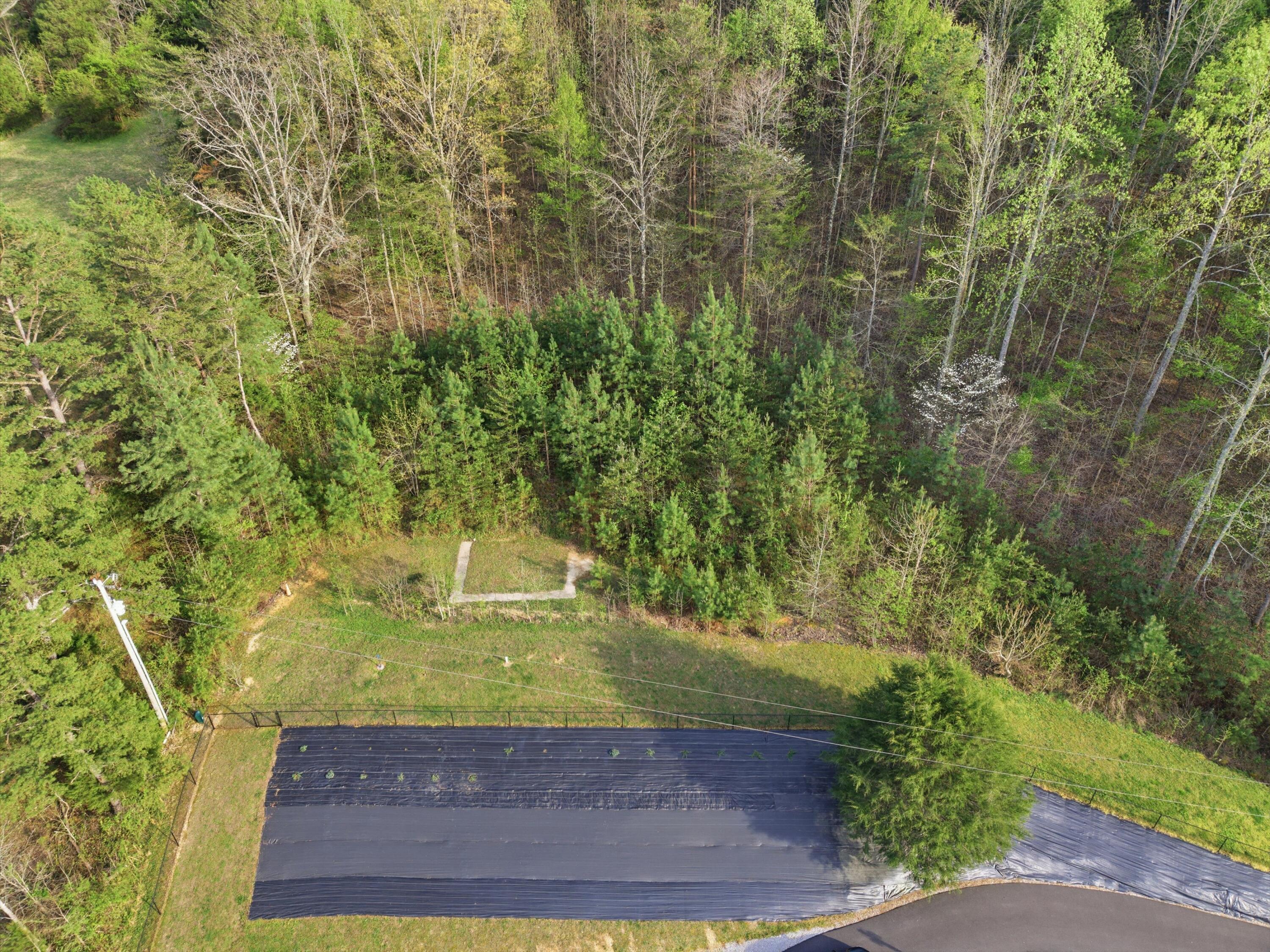 110 Angel Howard Road Pikeville, TN 37367 - Photo 27 of 33 26-110AngelHowardLn_024