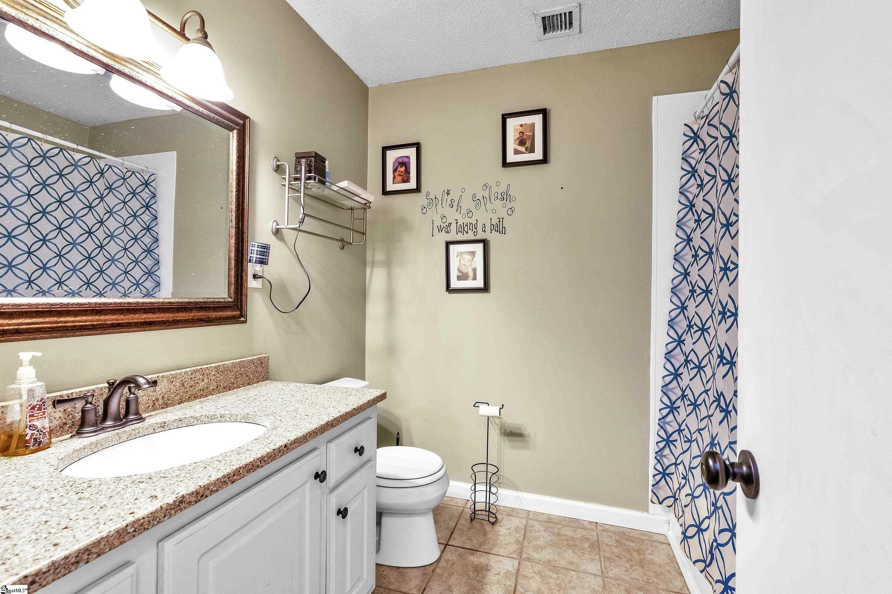 171 State Rd S-42-7128 Lyman, SC 29365 - Photo 8 of 26 Gallery Image 8