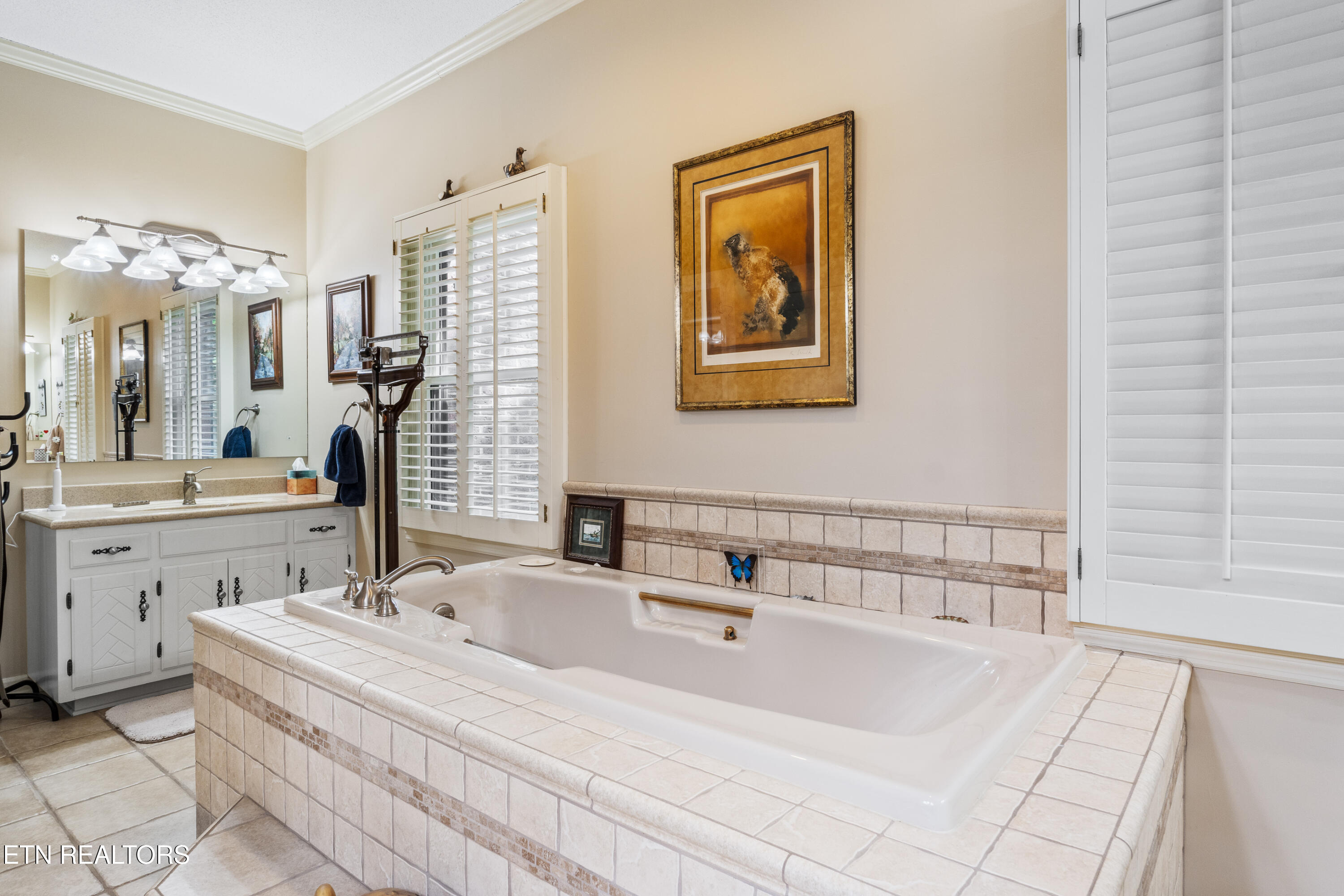 819 Knight Bridge Road Maryville, TN 37803 - Photo 29 of 46 Master Bath 2