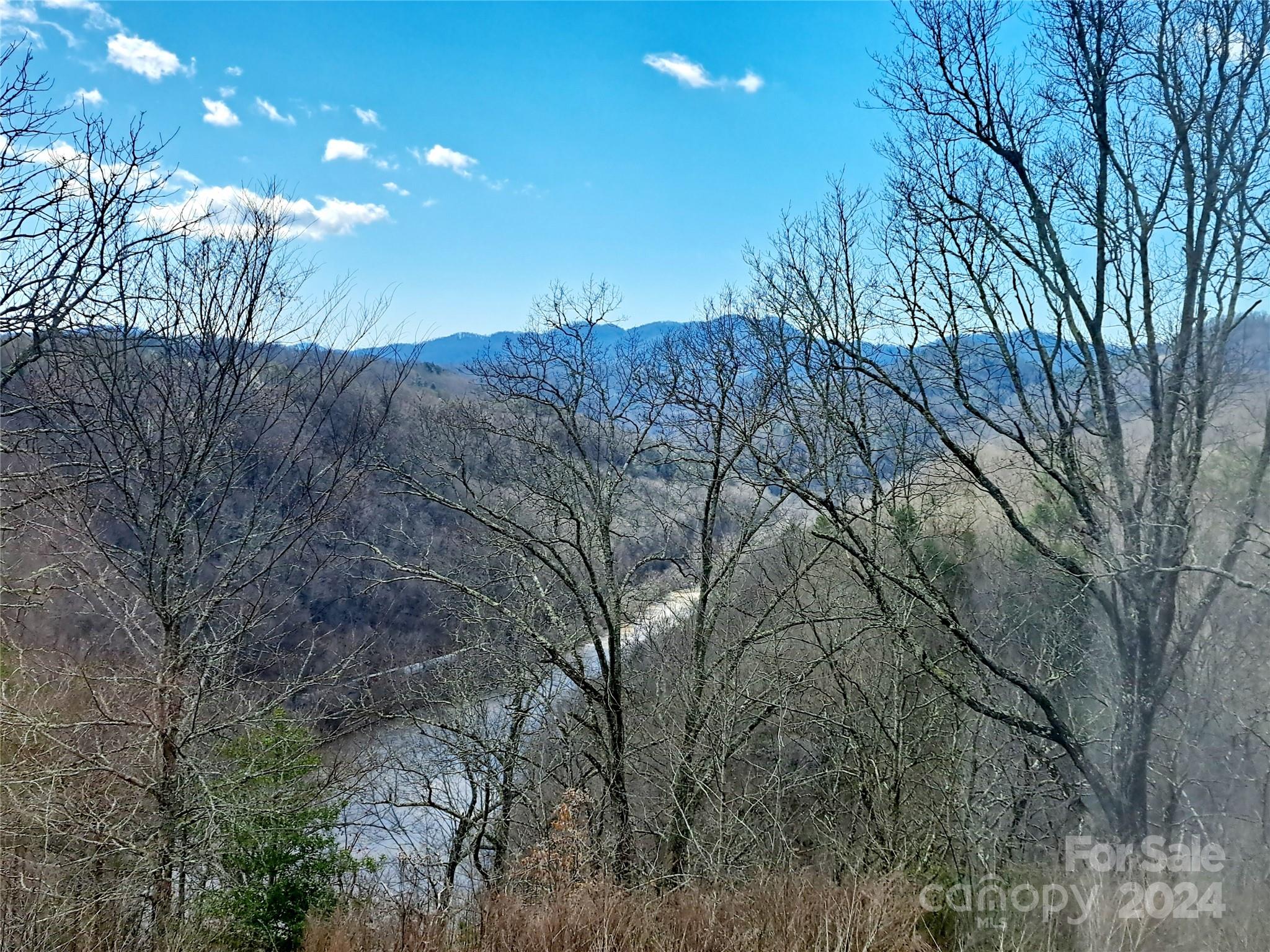 755 Snelson Road Marshall, NC 28753 - Photo 31 of 39