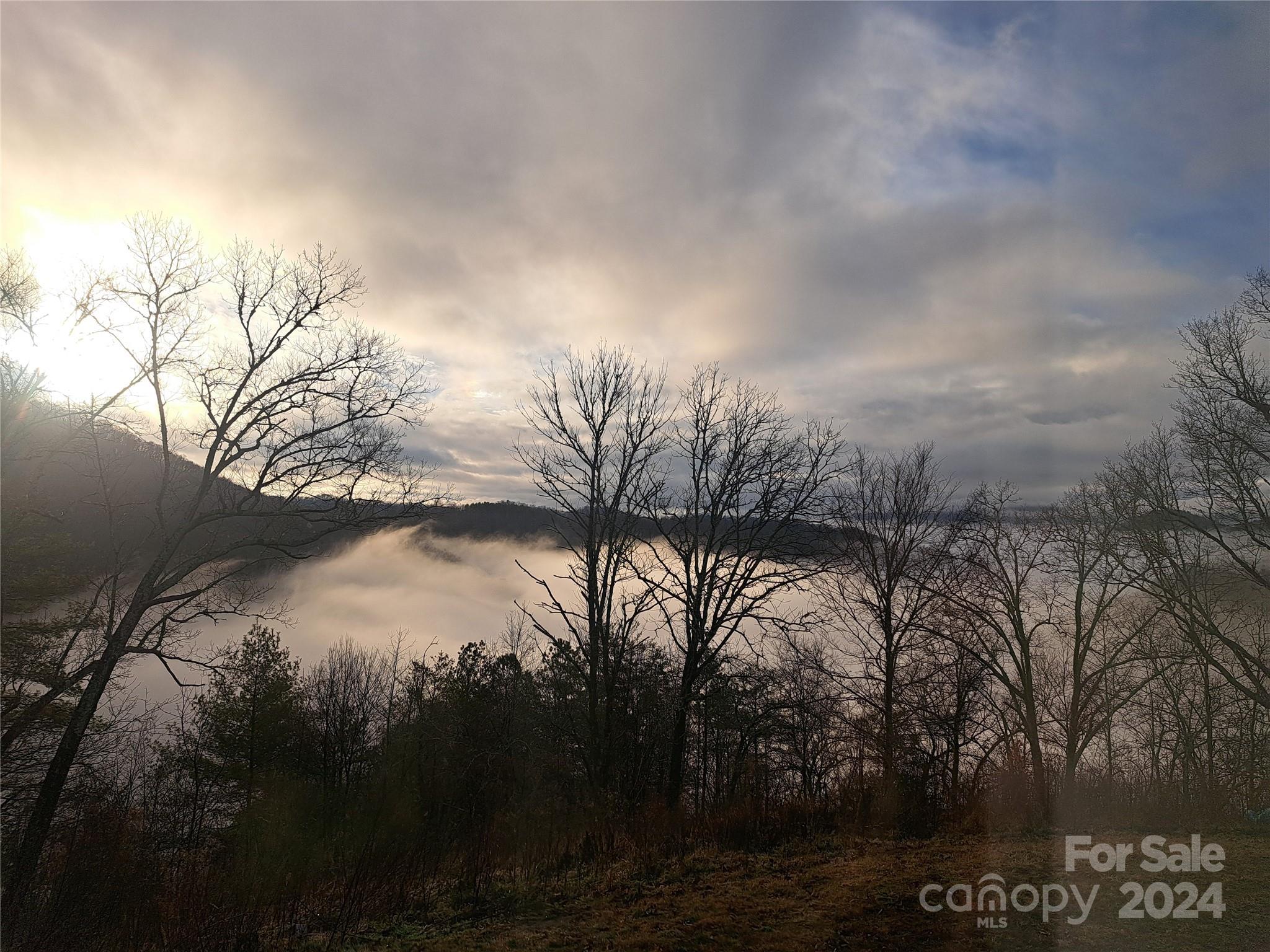 755 Snelson Road Marshall, NC 28753 - Photo 36 of 39