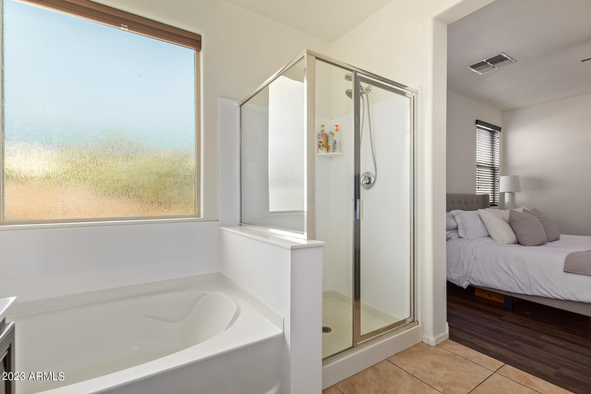 2054 East Stacey Road Gilbert, AZ 85298 - Photo 14 of 49 master bath